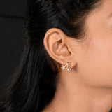 Elegant Zirconia Earring